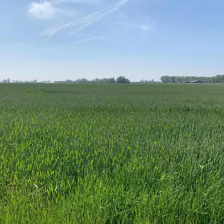 In With Ocean Views *