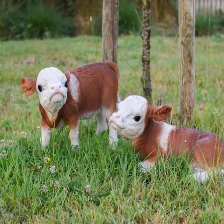 In With Ocean Views Ньивпорт