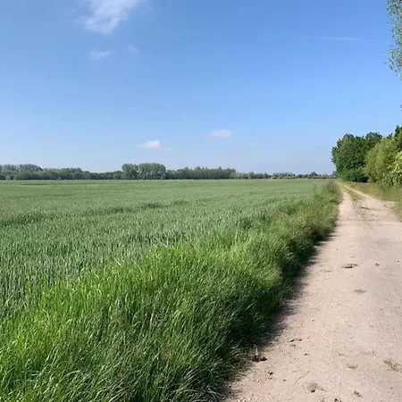 Апартаменты In With Ocean Views *