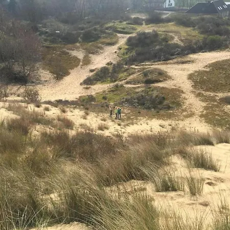 Апартаменты In With Ocean Views Ньивпорт