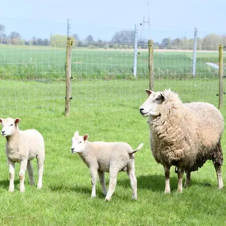 In With Ocean Views Апартаменты *