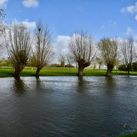 In With Ocean Views *